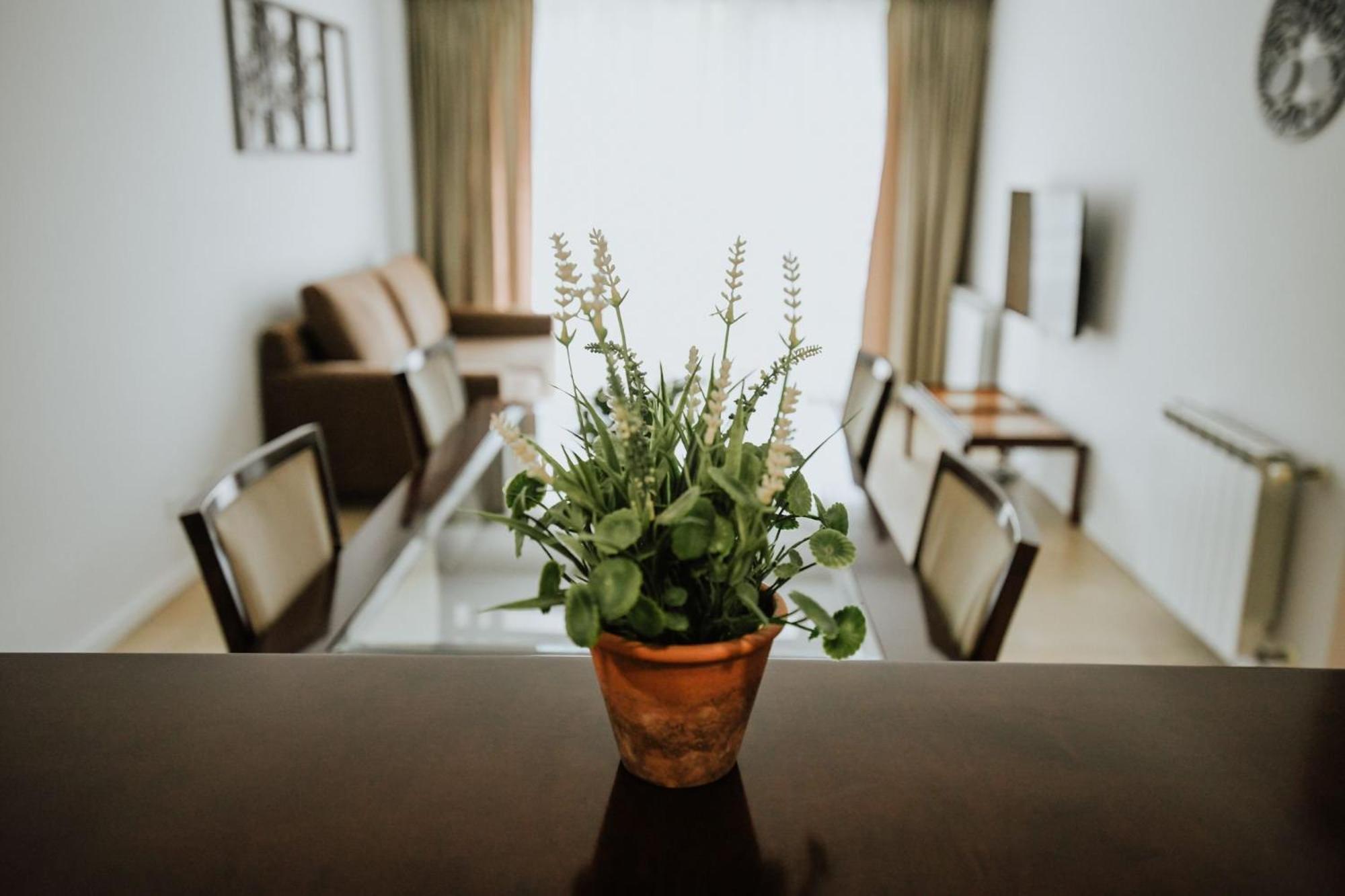 Edificio Fadul Apartment *